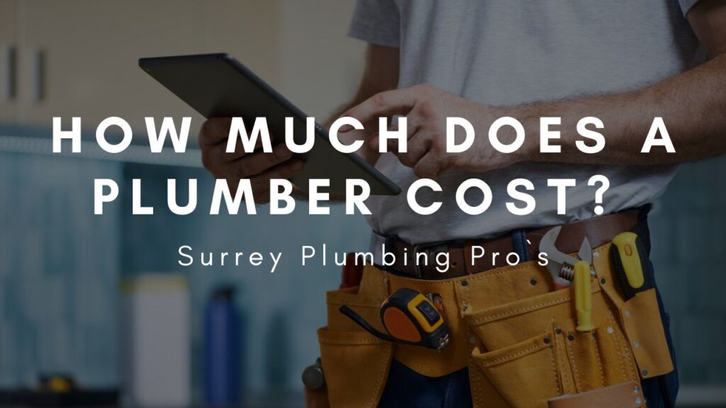 How much does a plumber cost