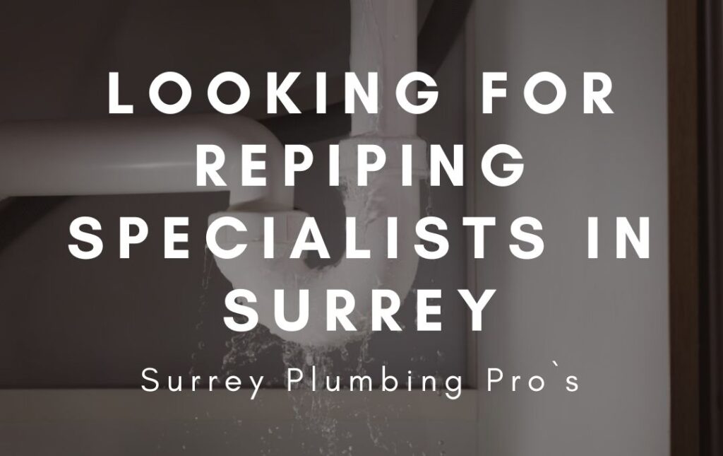 Looking for Repiping Specialists in Surrey